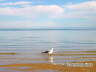 San Felipe Mexico Landscape